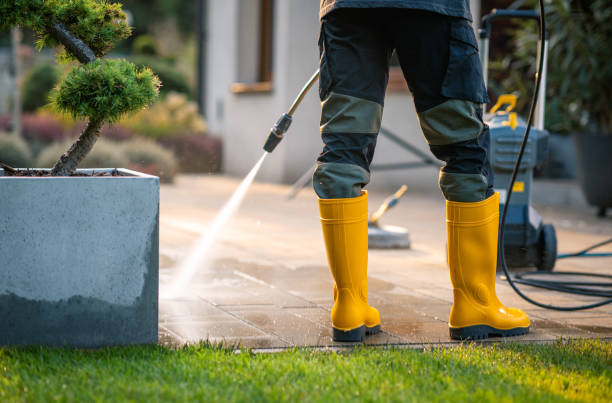 Best House Pressure Washing  in Corrales, NM